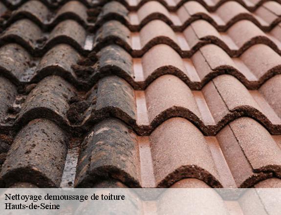 Nettoyage demoussage de toiture Hauts-de-Seine