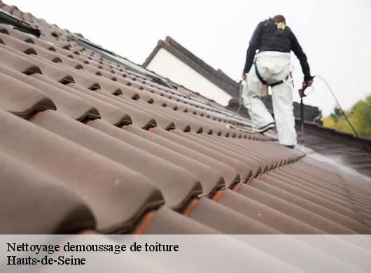 Nettoyage demoussage de toiture Hauts-de-Seine 