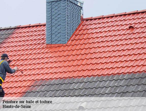 Peinture sur tuile et toiture Hauts-de-Seine
