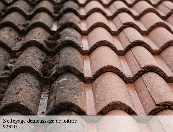 Nettoyage demoussage de toiture 92370