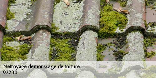 Nettoyage demoussage de toiture  gennevilliers-92230 M.GONZALEZ Couverture 92