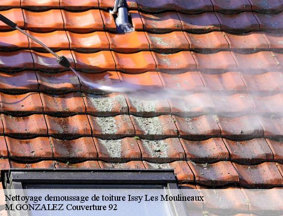 Nettoyage demoussage de toiture issy-les-moulineaux-92130 COUVERTURE ABRAHAM 92