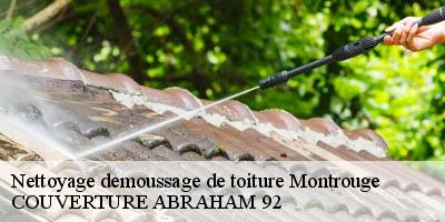 Nettoyage demoussage de toiture  montrouge-92120 Artisan Lafleur, Couvreur 92