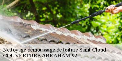Nettoyage demoussage de toiture  saint-cloud-92210 COUVERTURE ABRAHAM 92