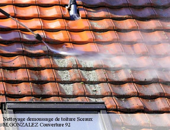 Nettoyage demoussage de toiture sceaux-92330 COUVERTURE ABRAHAM 92