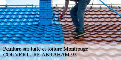 Peinture sur tuile et toiture  montrouge-92120 COUVERTURE ABRAHAM 92