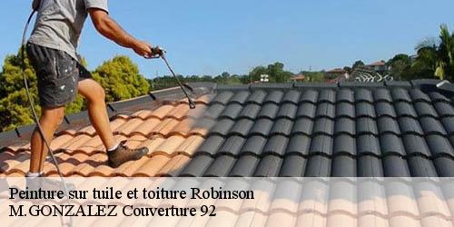 Peinture sur tuile et toiture  robinson-92350 M.GONZALEZ Couverture 92
